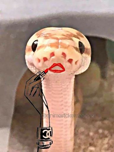 텔레그램 스티커