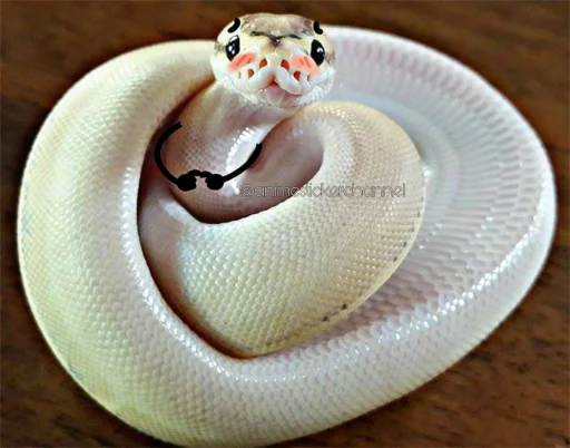 텔레그램 스티커