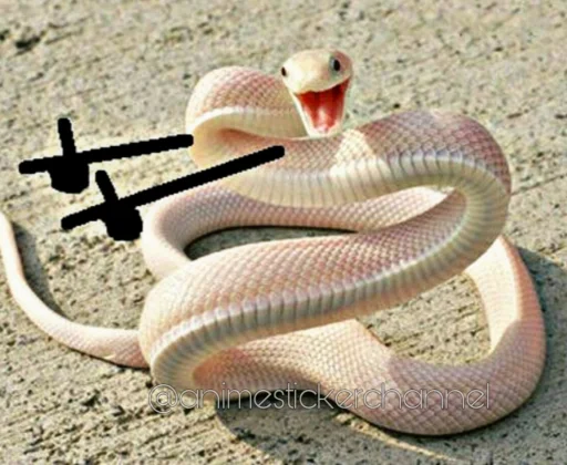 텔레그램 스티커