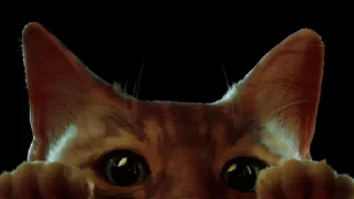 스트레이 사이버펑크 냥 (Stray)