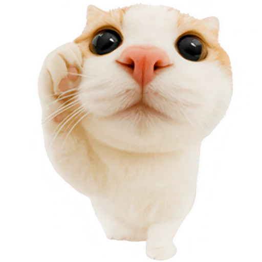 텔레그램 스티커