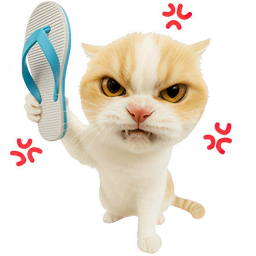 텔레그램 스티커