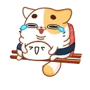 스시 고양이 (Sushi Cat)