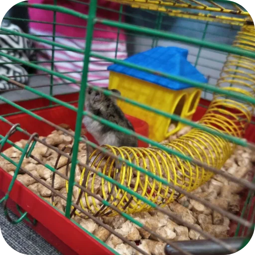 텔레그램 스티커