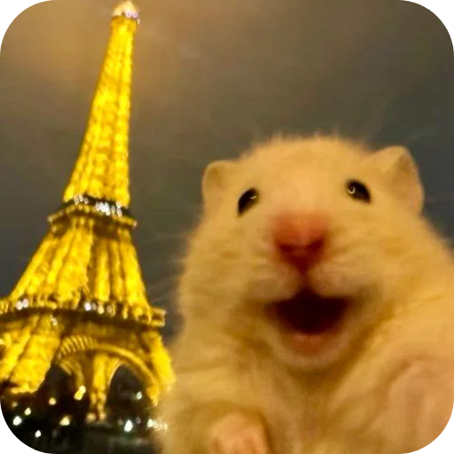 텔레그램 스티커