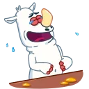 흰코뿔소 드와이트 (Dwight Rhino)