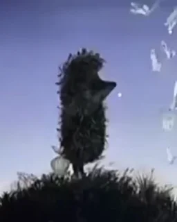 썸네일