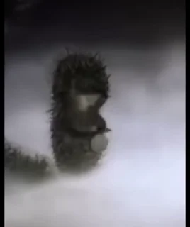 안개 속 고슴도치 (Hedgehog in the Fog)