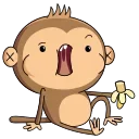 알로에 머리 (Aloe Monkey)