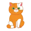 삼색 고양이 주피터 (Cat Jupiter)