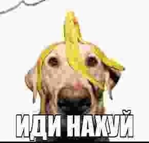 텔레그램 스티커