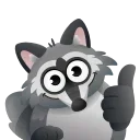 너구리 맥스 (Max the Raccoon)