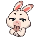 귀여운 토끼 플러피 (Fluffy Bunny)