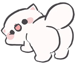 귀여운 하얀 고양이 (Cute White Cat)