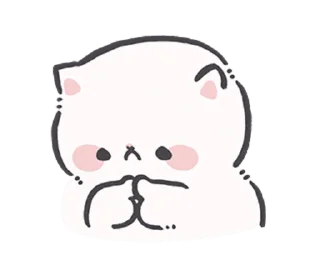 귀여운 하얀 고양이 (Cute White Cat)
