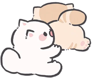 귀여운 하얀 고양이 (Cute White Cat)
