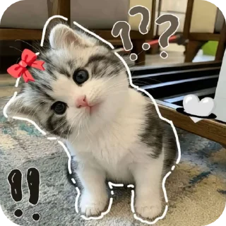 귀여운 하얀 곰 푸키 (Cute White Bear Pookie)