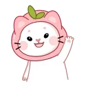 복숭아 고양이 쿠미 (Peach Cat Kumi)