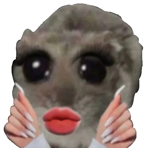 텔레그램 스티커