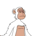 시크한 유인원 (Chic Ape)