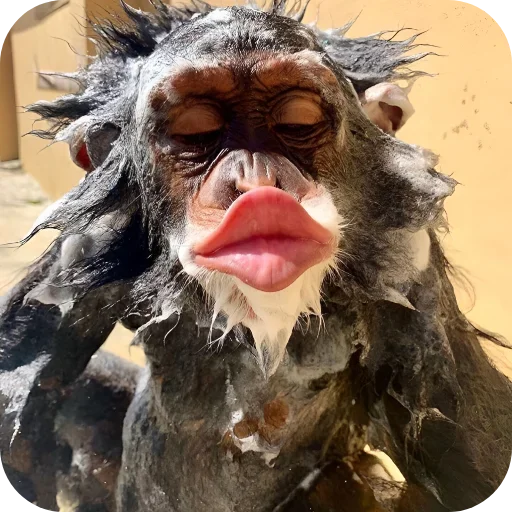 텔레그램 스티커