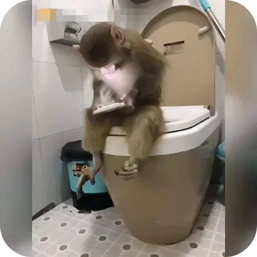 텔레그램 스티커