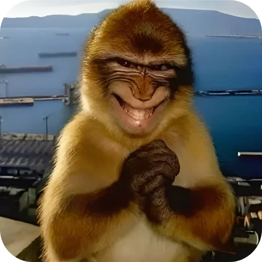 텔레그램 스티커