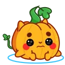 잭오랜턴 할로윈 호박 (Pumpkin)