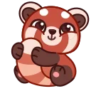 허둥지둥 레서판다 (Red Panda)