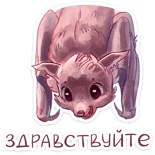 텔레그램 스티커