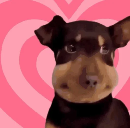 텔레그램 스티커