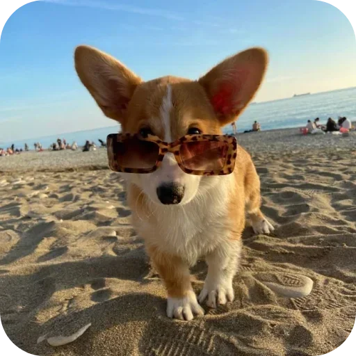 텔레그램 스티커