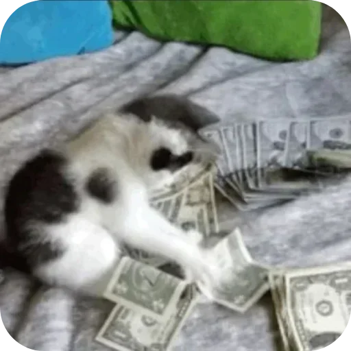 텔레그램 스티커