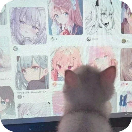 텔레그램 스티커