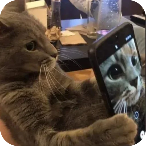 텔레그램 스티커