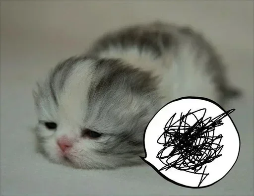 텔레그램 스티커