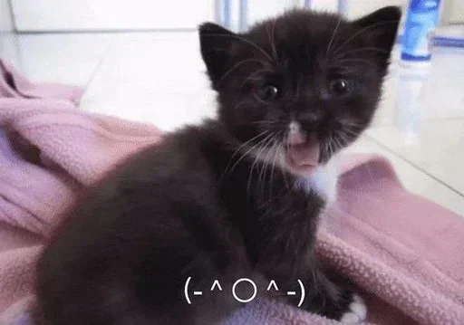 텔레그램 스티커