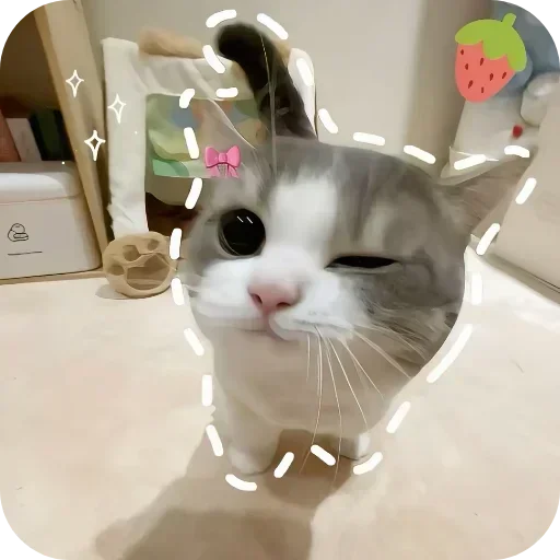 텔레그램 스티커