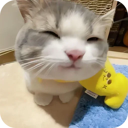 텔레그램 스티커