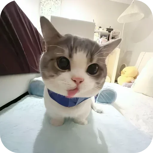 텔레그램 스티커