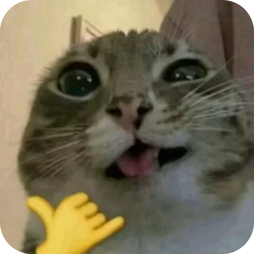 텔레그램 스티커