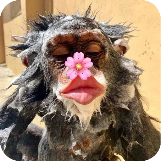 텔레그램 스티커