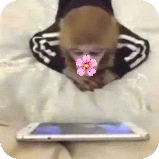 텔레그램 스티커