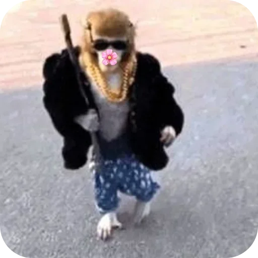 텔레그램 스티커