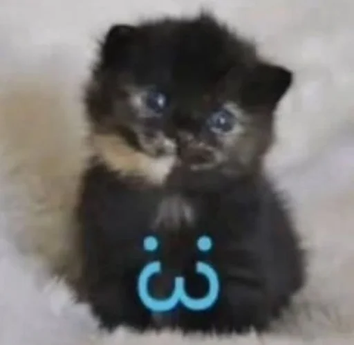 텔레그램 스티커