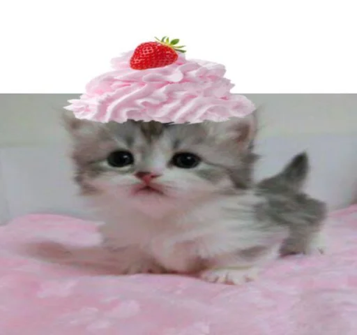 텔레그램 스티커