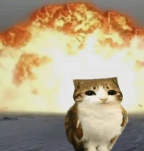 텔레그램 스티커