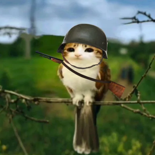 텔레그램 스티커