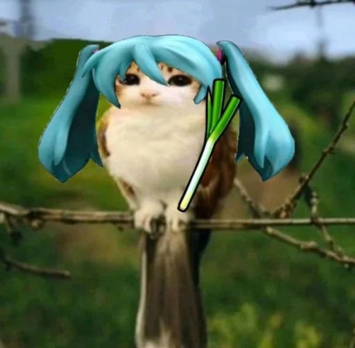 텔레그램 스티커