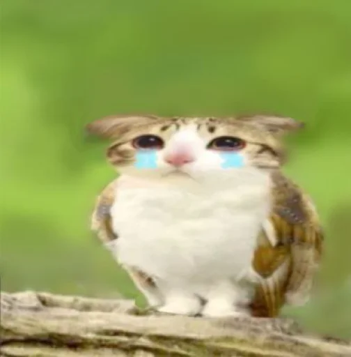 텔레그램 스티커